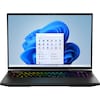 MEDION® ERAZER® Beast X40, Intel® Core™ i9-13900HX, Windows 11 Home, 43,2 cm (17") QHD+ Display 100% sRGB mit 240 Hz, NVIDIA® GeForce RTX™ 4090, 2 TB PCIe SSD, 32 GB RAM, High-End Gaming Notebook